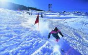 ENTHRAL AULI TOUR 2 NIGHTS 3 DAYS ( 3 Days/ 2 Nights )
