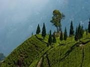 Splendid – Kalimpong, Gangtok & Darjeeling ( 6 Days/ 5 Nights )