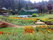 Ooty Package 2N/3D from Chennai ( 3 Days/ 2 Nights )