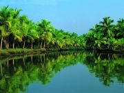 Honeymoon Kerala Package ( 6 Days/ 5 Nights )