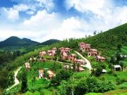 Honeymoon in Ooty Tour ( 5 Days/ 4 Nights )