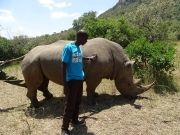 Magical 3 Days 2 Nights Masai Mara and Nairobi Trip Package ( 3 Days/ 2 Nights )