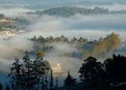Ooty Kodaikanal Tour ( 5 Days/ 4 Nights )