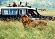 Best 13 Days 12 Nights Kruger Park Vacation Package ( 13 Days/ 12 Nights )