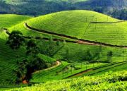 The Land Of Backwaters Exotic Kerala Tour ( 15 Days/ 14 Nights )