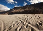 Discover Ladakh ( 8 Days / 7 Nights )