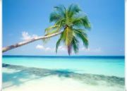 Gateway To West India Tour ( 16 Days/ 15 Nights )