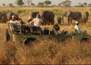 Indian Wildlife Safari Tour ( 22 Days/ 21 Nights )