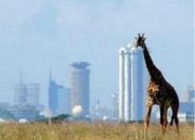 Best 5 Days 4 Nights Nairobi with Masai Mara Holiday Package ( 5 Days/ 4 Nights )