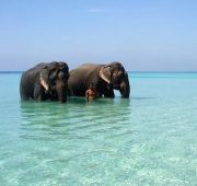 ANDAMAN AND NICOBAR BEACH TOUR PACKAGE 2 NIGHTS AND 3 DAYS ( 3 Days/ 2 Nights )