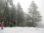 SHIMLA ADD PURITY AND WHOLENESS TO THE NEW BEGINNING ( 2 Days/ 1 Night )