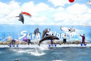 6 Days 5 Nights Phuket, Thailand to Phuket Wildlife Tour Package ( 6 Days/ 5 Nights )