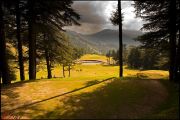 Shimla-Kufri-Chail ( 3 Days/ 2 Nights )