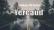 YERCAUD & HOGENAKKAL 3 DAYS PACKAGE FROM CHENNAI ( 3 Days/ 2 Nights )