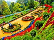 Bangalore Mysore Ooty Kodaikanal Tour ( 8 Days/ 7 Nights )
