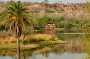 Ranthambore Tour- Indulge Into Wildlife ( 2 Days/ 1 Night )