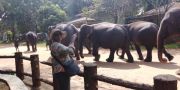 Magical 5 Days Colombo to Kandy Tour Package ( 5 Days/ 4 Nights )