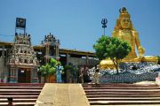 Beautiful 7 Days Negombo to Colombo Holiday Package ( 7 Days/ 6 Nights )