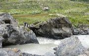 Family Getaway 4 Days 3 Nights Manali To Delhi Vacation Package ( 4 Days/ 3 Nights )