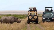 Pleasurable 3 Days Masai Mara To Nairobi Trip Package ( 3 Days/ 2 Nights )