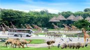 Memorable 6 Days 5 Nights Bangkok Tour Package ( 6 Days/ 5 Nights )