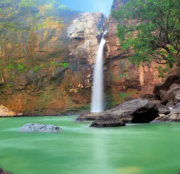 wild Roadtrip of Mumbai For 4N/5D ( 5 Days/ 4 Nights )