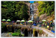 Cyt Spacial Bangalore Mysore Ooty Kodaikanal 6N/7D Trip @30999 INR | Call 9818705209|TriFete Holidays Pvt. Ltd, Versova Mumbai ( 7 Days/ 6 Nights )