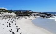 Amazing 8 Days Johannesburg, Kruger National Park and Cape Town Holiday Package ( 8 Days/ 7 Nights )