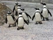 Best 11 Days 10 Nights Sun City Holiday Package ( 11 Days/ 10 Nights )
