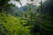 Beautiful 4 Days 3 Nights Bali Vacation Package ( 4 Days/ 3 Nights )