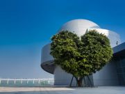 Heart-warming 6 Days Hongkong to Macau Nature Trip Package ( 6 Days/ 5 Nights )
