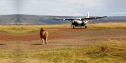 3 Days Flying Safari Package From Nairobi or Mombasa to Masai Mara ( 3 Days/ 2 Nights )
