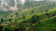 SHRI LANKA TOUR PACKAGE 4 NIGHT/5DAYS ( 5 Days/ 4 Nights )