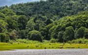 Kerala Package 4 Nights 5 Days ( 5 Days/ 4 Nights )