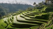 Romantic Bali with Private Pool Villa Stay ( 7 Days/ 6 Nights )