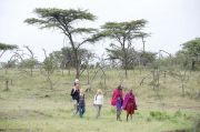 Kenya Paradise Safari ( 7 Days/ 6 Nights )