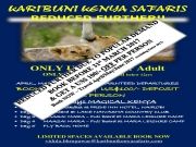 Amazing 5 Days 4 Nights Nairobi Wildlife Tour Package ( 5 Days/ 4 Nights )