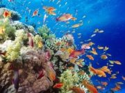 Memorable 4 Days 3 Nights Colombo Trip Package ( 4 Days/ 3 Nights )