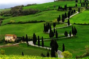 Ooty Travel Packages