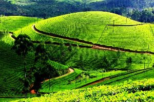 Darjeeling Travel Packages