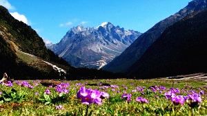Sikkim Tour Packages