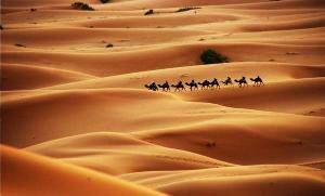 10 Most Spectacular Deserts Across The World 10 Most Spectacular Deserts Across The World