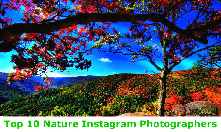 top 10 nature instagram photographers you should follow hello travel buzz - instagram photographers to follow