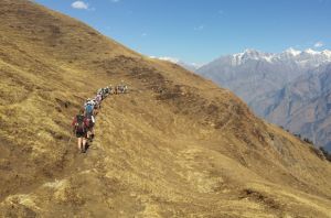 Auli Gorson Trek