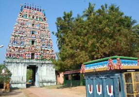 Sholavaram lake 2019, #4 top things to do in tiruvallur, tamil nadu ...