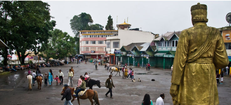 darjeeling in india reviews